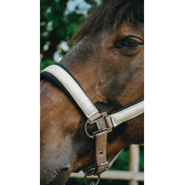 Halster Equithème Glowy Beige / goudkleurig
