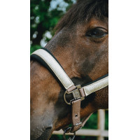 Licol Equithème Glowy Beige / doré