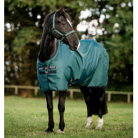 Couverture Horseware Amigo Ripstop 900D Turnout 100g Noir / bleu classique