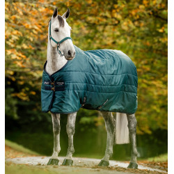 Couverture d'écurie Horseware Amigo Ripstop Insulator 50g Vert dynastie / marine / argent
