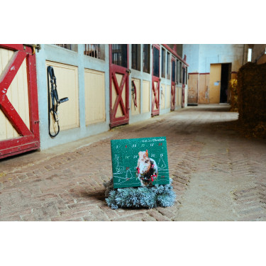 Adventskalender Natural'Christmas Gourmet 2025 Natural'Innov