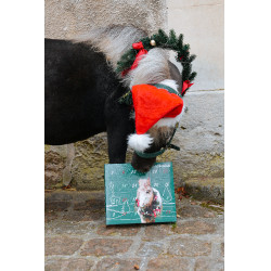 Adventskalender Natural'Christmas Gourmet 2025 Natural'Innov