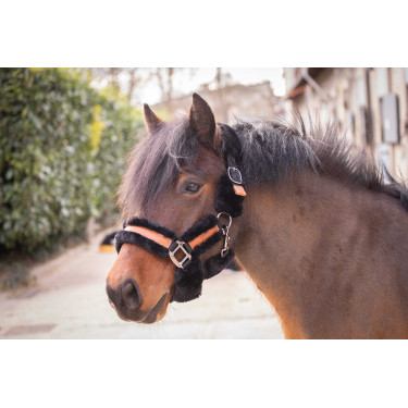 Licol Pénélope Soft Noir Licol Pénélope Soft Noir