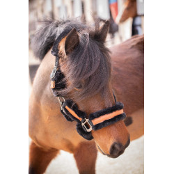 Halster Pénélope Soft Zwart