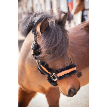 Licol Pénélope Soft Noir Licol Pénélope Soft Noir