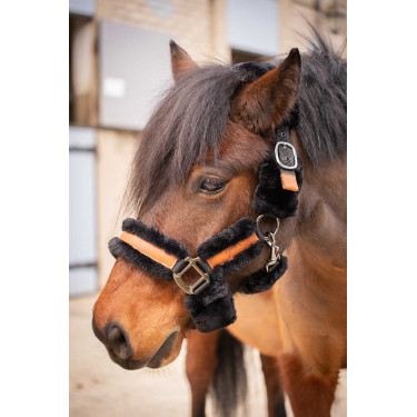 Licol Pénélope Soft Noir Licol Pénélope Soft Noir