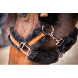 Licol Pénélope Soft Noir Licol Pénélope Soft Noir