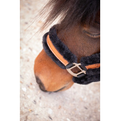 Halster Pénélope Soft Zwart