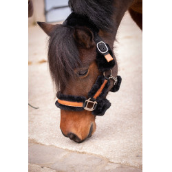 Halster Pénélope Soft Zwart