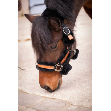 Licol Pénélope Soft Noir Licol Pénélope Soft Noir