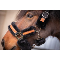 Licol Pénélope Soft Noir