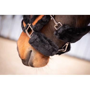 Licol Pénélope Soft Noir Licol Pénélope Soft Noir