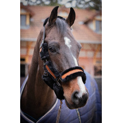 Halster Pénélope Soft Zwart