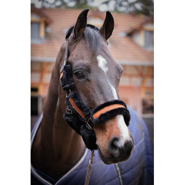 Licol Pénélope Soft Noir Licol Pénélope Soft Noir