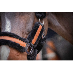 Licol Pénélope Soft Noir Licol Pénélope Soft Noir