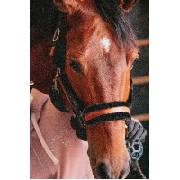 Licol Pénélope Soft Noir