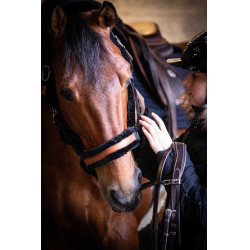 Licol Pénélope Soft Noir Licol Pénélope Soft Noir