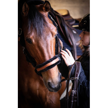 Licol Pénélope Soft Noir Licol Pénélope Soft Noir