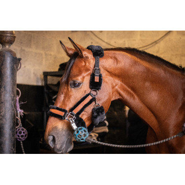 Halster Pénélope Soft Zwart