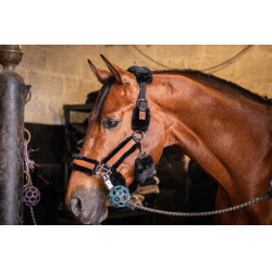 Licol Pénélope Soft Noir Licol Pénélope Soft Noir