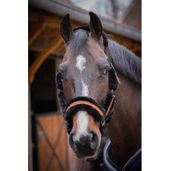 Halster Pénélope Soft Zwart