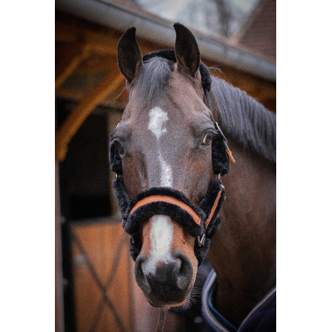 Licol Pénélope Soft Noir Licol Pénélope Soft Noir