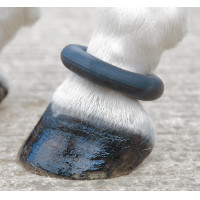 Anneau de paturon Shires Noir