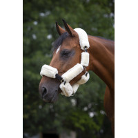 Set voor halster Equithème Teddy Ecru Beige Set voor halster Equithème Teddy Ecru Beige