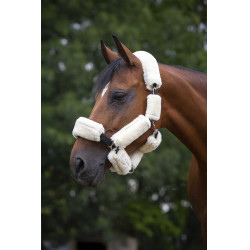 Set voor halster Equithème Teddy Ecru Beige Set voor halster Equithème Teddy Ecru Beige
