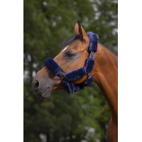 Set pour licol Equithème Teddy Bleu marine
