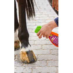 Nettoyant pelage express Equinatura Nettoyant pelage express Equinatura