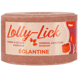 Hippotonic Lolly-Lick zoutsteen Egelantier