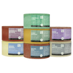 Pierre à sel Hippotonic Zinc boost Pierre à sel Hippotonic Zinc boost