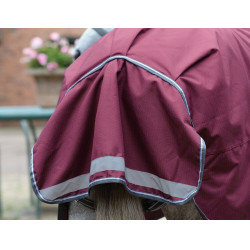 Couverture Weatherbeeta ComFiTec Plus Dynamic II Combo Neck Medium Lite Bordeaux / gris / blanc Couverture Weatherbeeta ComFiTec Plus Dynamic II Combo Neck Medium Lite Bordeaux / gris / blanc