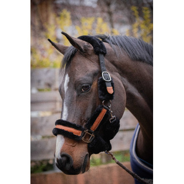 Licol Pénélope Soft Noir / beige Licol Pénélope Soft Noir / beige