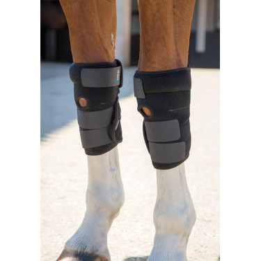 Therapeutische peesbeschermers Arma Shires Zwart
