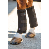 Therapeutische beenbeschermers Arma Shires Zwart