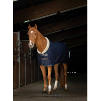 Mesh overhemd Equithème Teddy Marineblauw Mesh overhemd Equithème Teddy Marineblauw