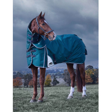 Couverture Weatherbeeta ComFiTec Dynamic Turnout 220g cou détachable Vert forêt / marine