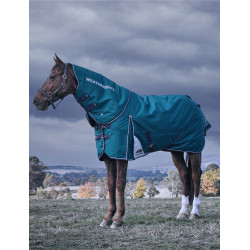 Couverture Weatherbeeta ComFiTec Dynamic Turnout 220g cou détachable Vert forêt / marine