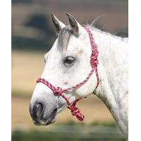 Licol éthologique Shires Rose / noir