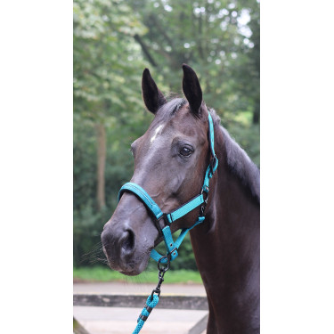 Longe d'attache Lami-Cell Charming Turquoise Bleu