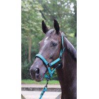 Longeerlijn Lami-Cell Charming Turkoois Blauw Longeerlijn Lami-Cell Charming Turkoois Blauw