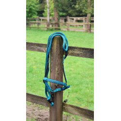 Longe d'attache Lami-Cell Charming Turquoise Bleu