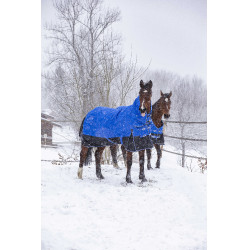 Equithème Tyrex Aisance 1200D High Neck deken Koningsblauw Equithème Tyrex Aisance 1200D High Neck deken Koningsblauw