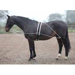 Enrênement de longe Shires Noir