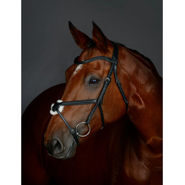 Collegiate ComFiTec Opulux hoofdstel met gevlochten sperriem, gevoerd Zwart Collegiate ComFiTec Opulux hoofdstel met gevlochten sperriem, gevoerd Zwart