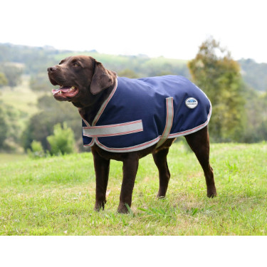 Honden deken Weatherbeeta ComFiTec Essential Marine / zilver / rood Blauw Honden deken Weatherbeeta ComFiTec Essential Marine / zilver / rood Blauw