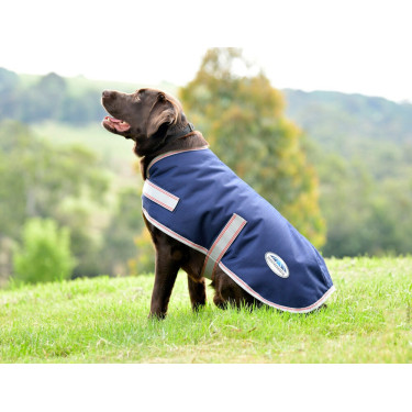 Honden deken Weatherbeeta ComFiTec Essential Marine / zilver / rood Blauw Honden deken Weatherbeeta ComFiTec Essential Marine / zilver / rood Blauw