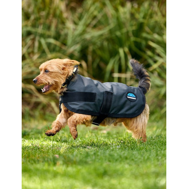 Waterdichte honden deken Weatherbeeta ComFiTec Classic Houtskool Grijs Waterdichte honden deken Weatherbeeta ComFiTec Classic Houtskool Grijs